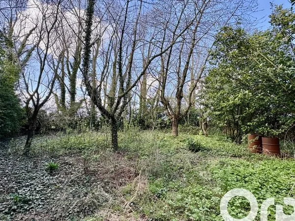 Terrain 832 m²