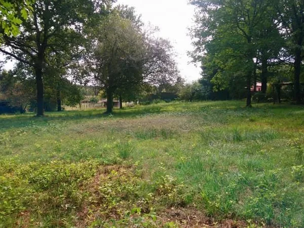 Terrain constructible