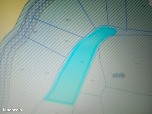 Terrain boisé