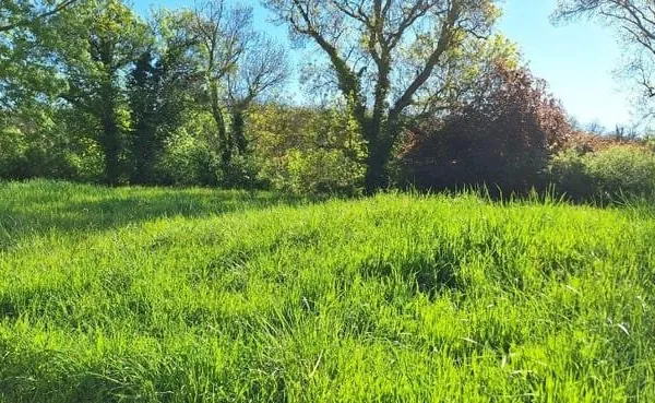 Terrain 1230 m²