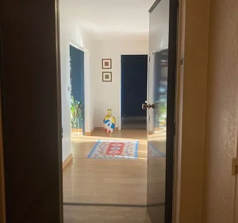 Orléans hyper-centre / Dunois - Appartement 110 m² rénové, vue panoramique, lumineux, 3 chambres pos