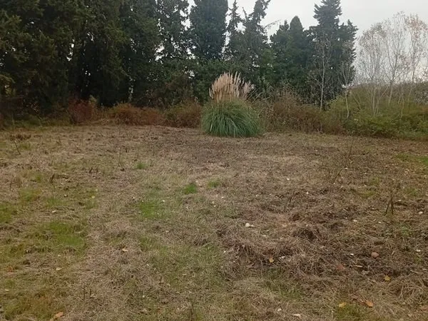 Terrain de loisirs