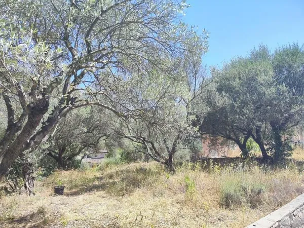 Terrain 702 m²