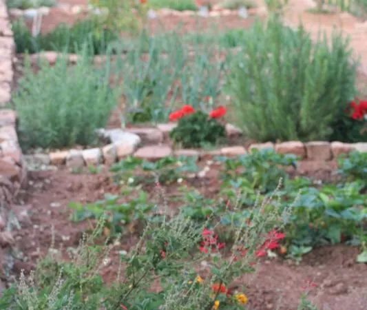 Location Jardin potager Cuers Puget-ville 40 à 50