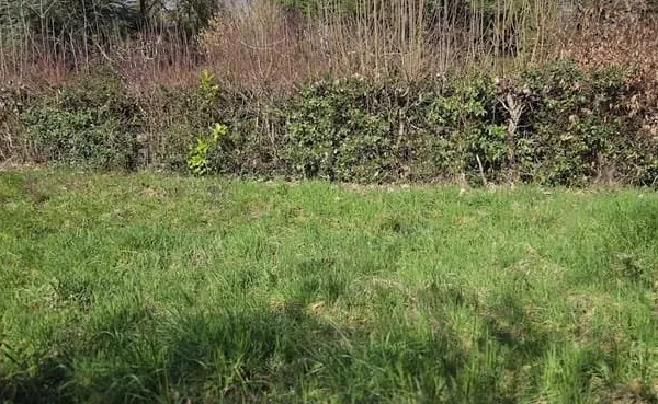 Terrain 300 m²