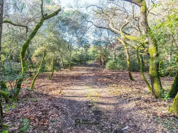 Terrain constructible 1299 m²
