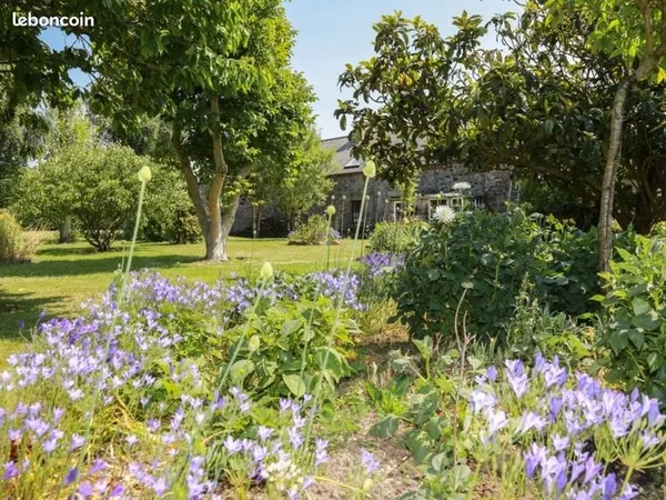 Longère de charme avec 2 gîtes et dépendances aménageables - Planguenoual (22)