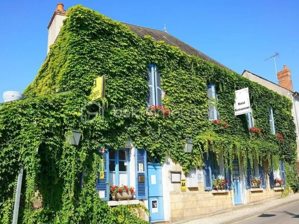 Hôtel particulier 10 pièces 394 m²