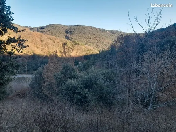 Cerisaie, chênes truffiers et forêt chênes verts 7700m²
