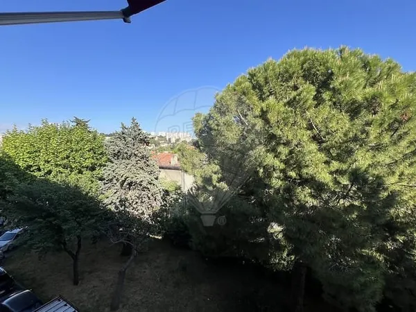 Appartement 3 pièces 71 m²