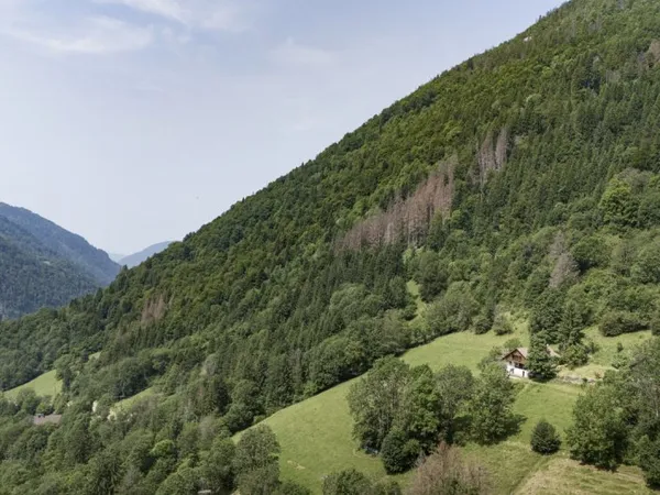 Chalet - Rénové & Environnement calme