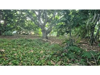 A Plaisance votre projet de construction Villarchipel sur ce terrain proche Moudong