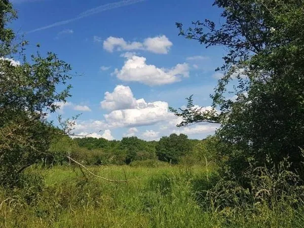 Terrain 10000 m²