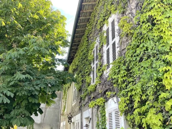 RARE GEVRIEUX 01320. Maison 300m2 (surface totale). Jardin