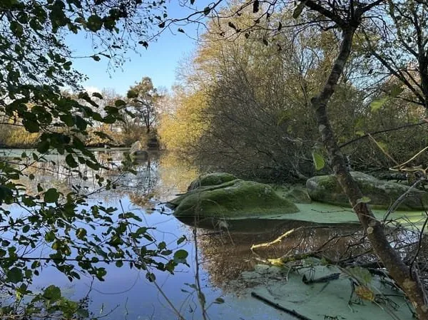 Terrain de loisir avec un etang