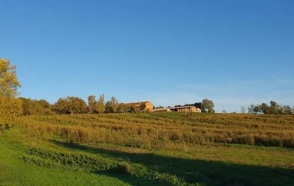 Maison 4 pièces 95 m²