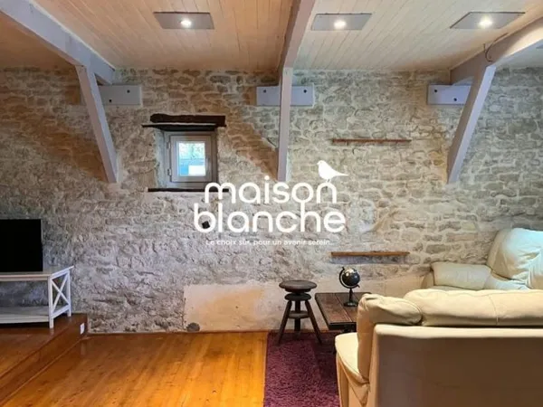 Maison ancienne avec travaux
