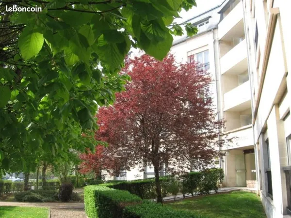 Studio 1 pièce 17 m²