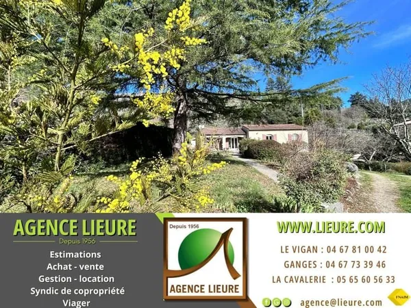 En Cévennes, villa avec terrain, à vendre