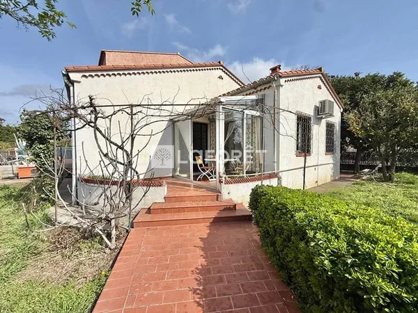 Maison 3 faces de plain pied