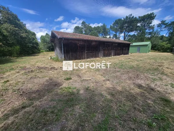 Terrain 40000 m²