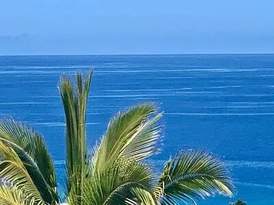 ORPI - SAINT GILLES LES BAINS VILLA T 8 VUE MER DE 270 M²