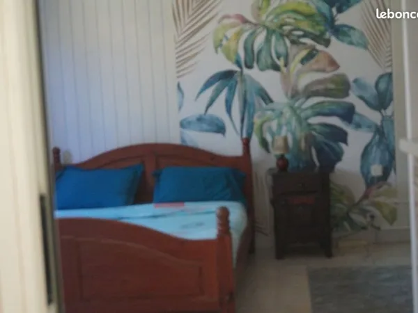 Location Logement T 1