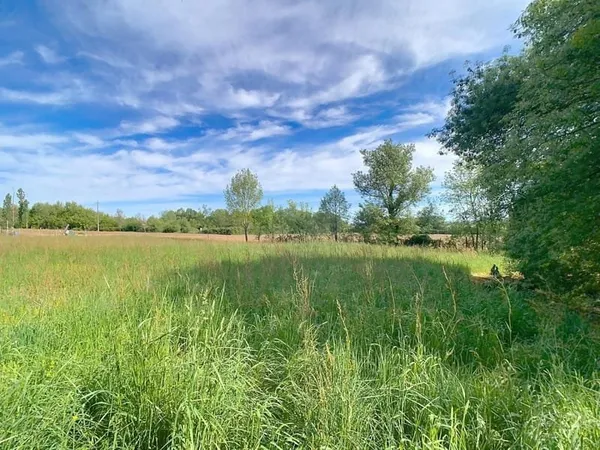 Terrain 1203 m²