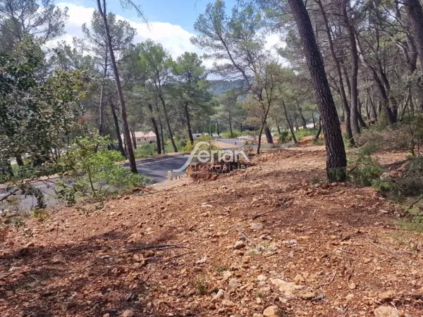 Terrain 429 m²