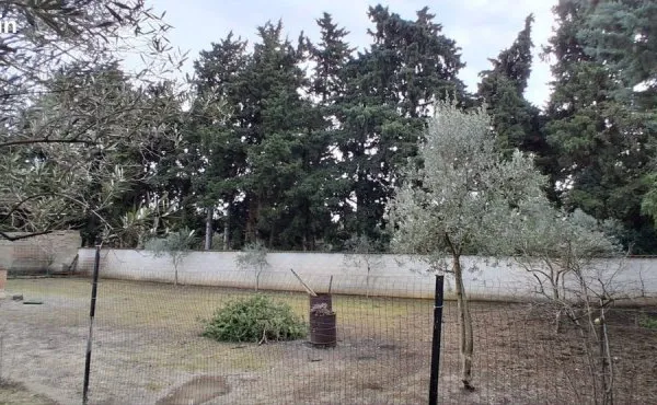 Terrain 550 m²