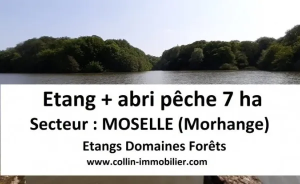 Terrain 65000 m²