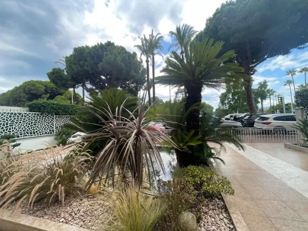 Boutique 1 pièce 23 m²