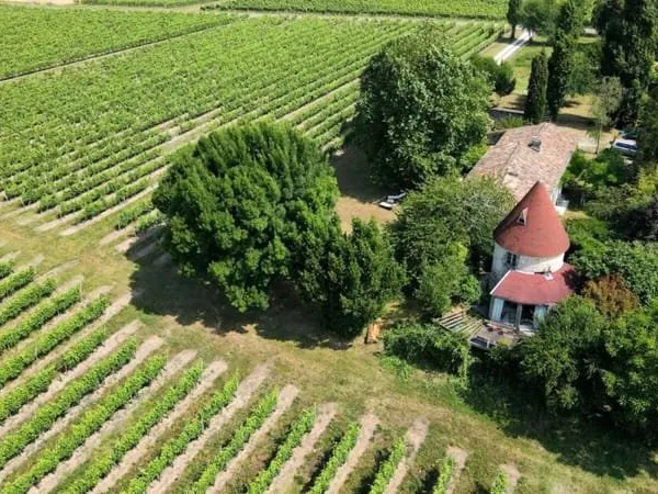 MAISON DE FAMILLE & MOULIN AU COEUR DE LA CAMPAGNE DE HAUTE SAIN