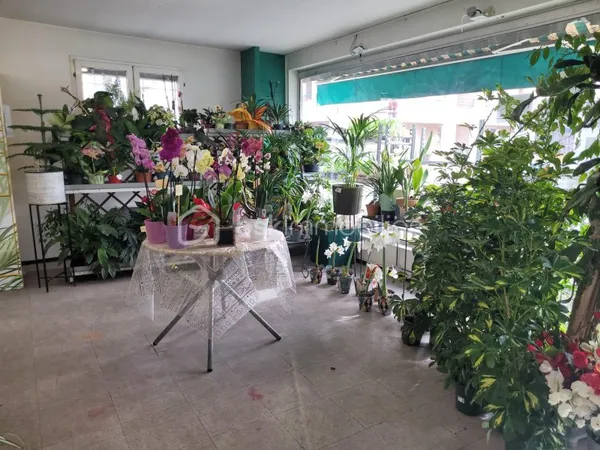 Local commercial 6 pièces 360 m²