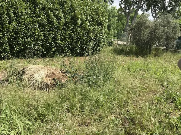Terrain à bâtir