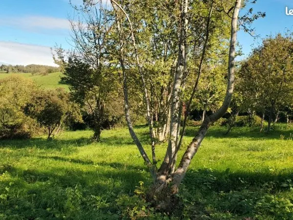 Terrain constructible