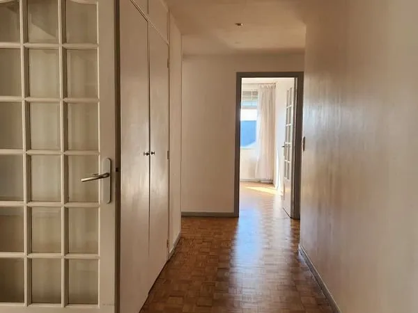 Grand appartement lumineux