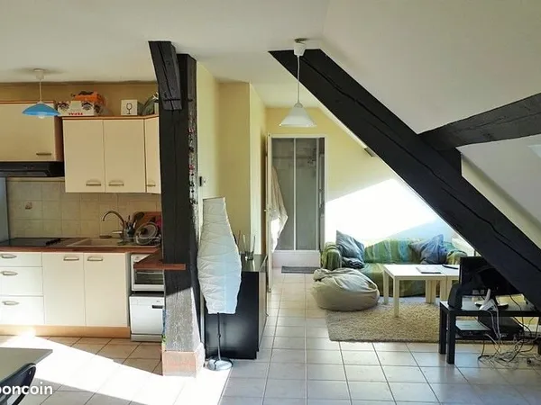 Appartement grand T2 grenoble centre