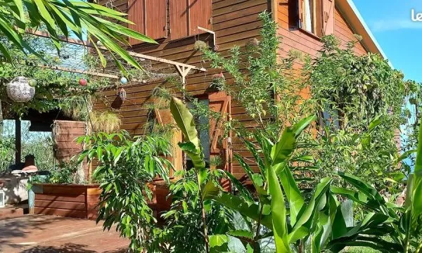 BON COIN avril 26 Piton St Leu Petite maison toute en bois pleine de charme