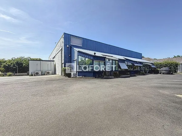 Local commercial 974 m²