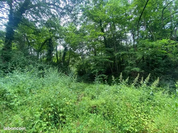 Terrain 2 300 m² Puygaillard De Quercy