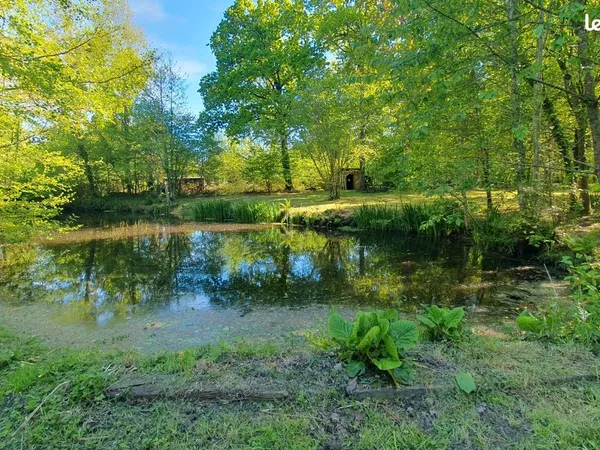 Terrain de loisir boisé avec étang