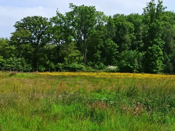 TERRAIN 1181 M2