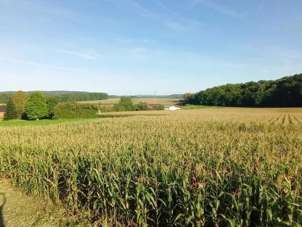 Terrain 1200 m²