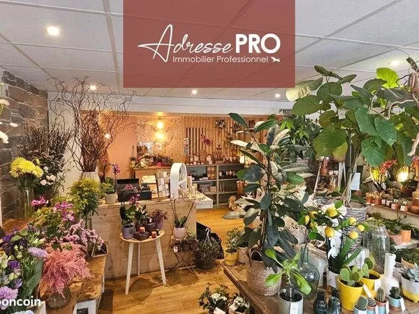 Local fleuriste 70 m²