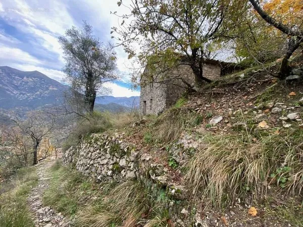 Maison 2 pièces 50 m²