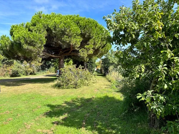 Terrain 769 m²