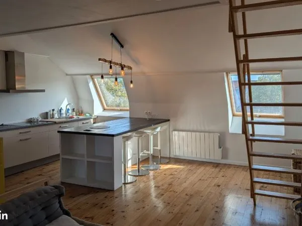 Wazemmes - Appartement lumineux avec mezzanine 45,83 m², proche metro