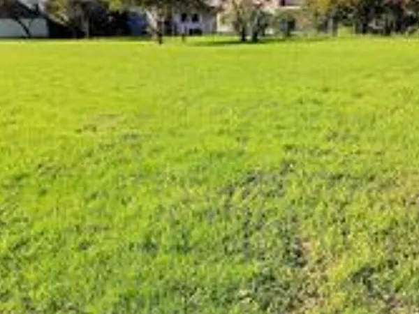 Terrain 700 m²