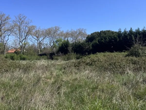 Terrain 1274 m²